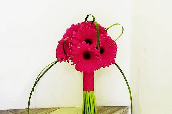 Gerberas fucsia