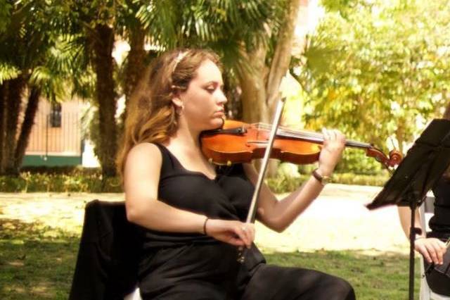 Violín