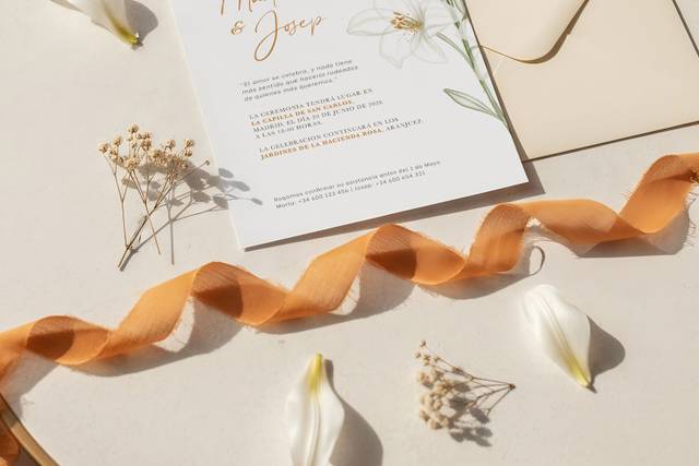 Invitación Colección Albor