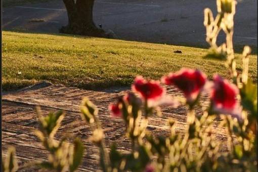 Finca Club de Campo