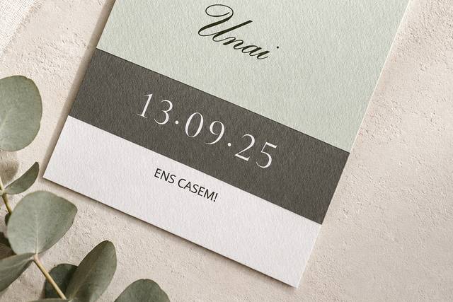 Auria Creative Studio