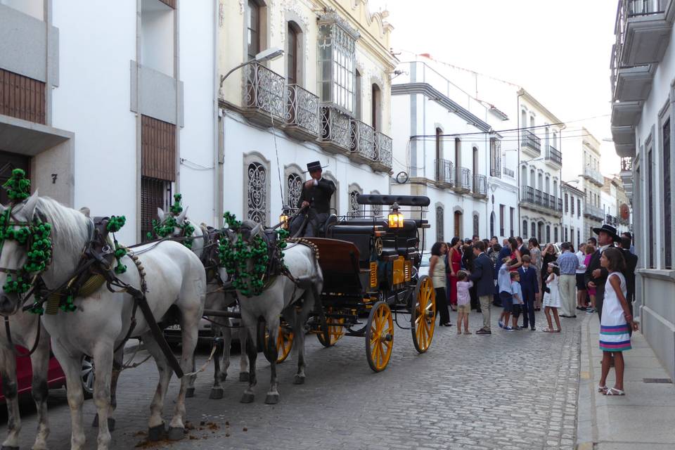 Cuarta caballos tordos