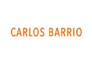 El Arte de Ser Profesional - Carlos Barrio
