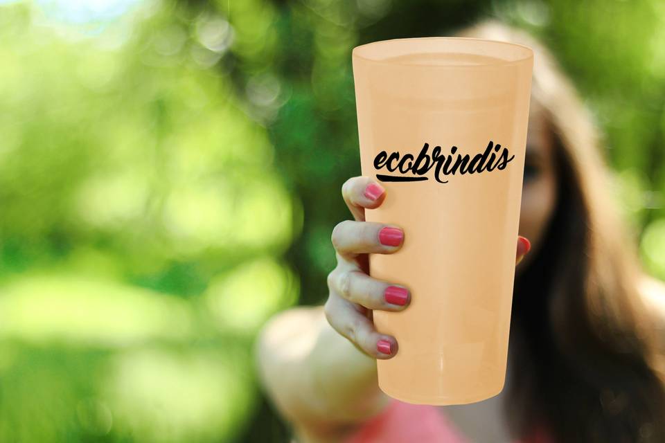 Ecobrindis