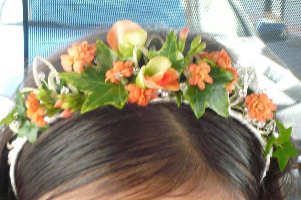 Diadema para pelo