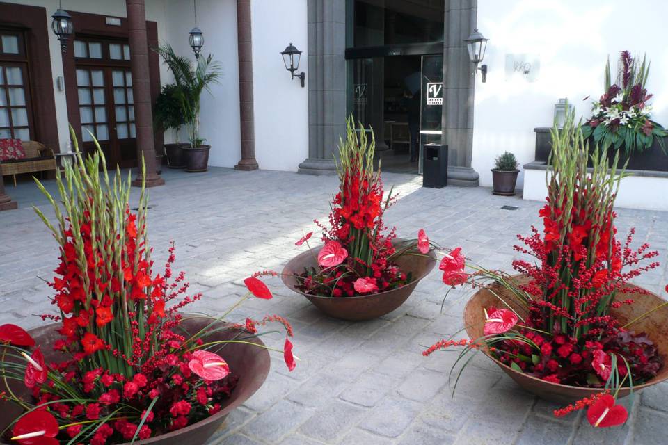 Decoración de terraza exterior