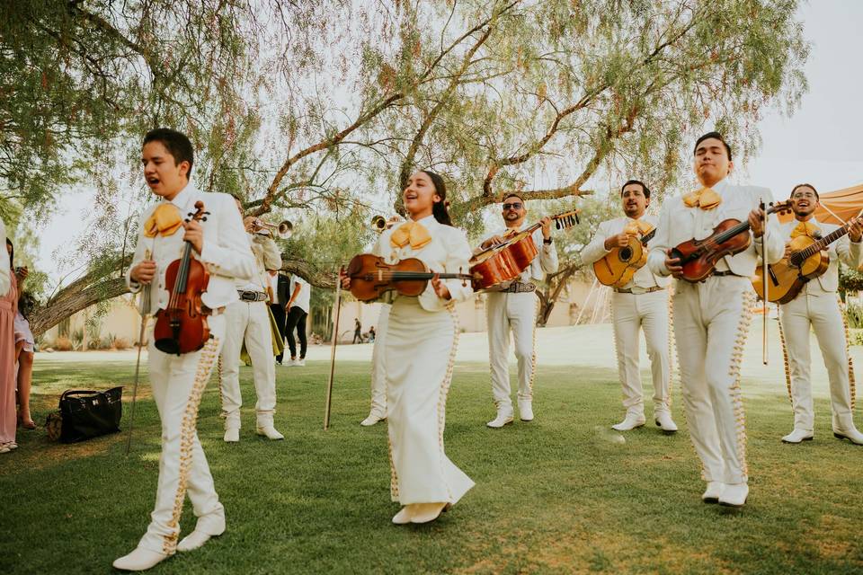 Mariachis, grupos, versiones...