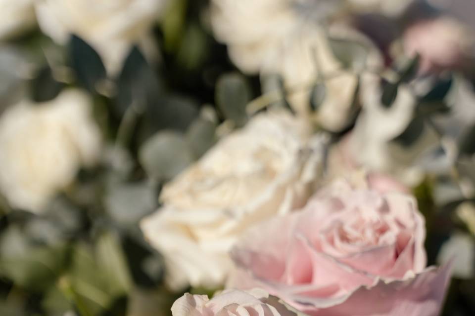 Flores