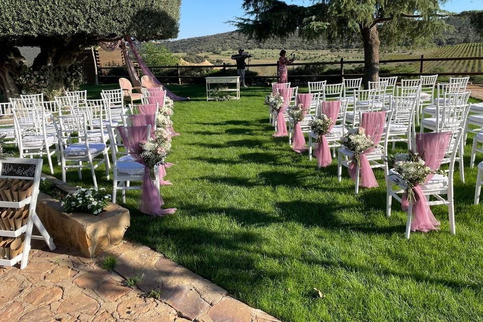 Bonsai Eventos