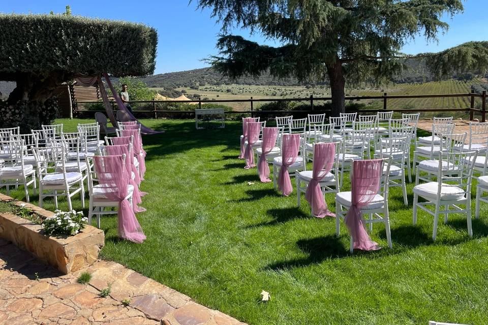 Bonsai Eventos