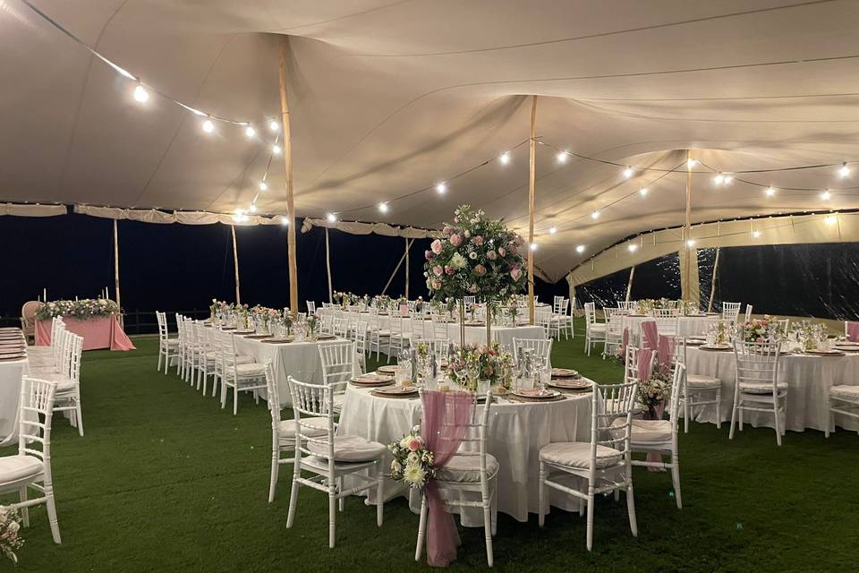 Bonsai Eventos