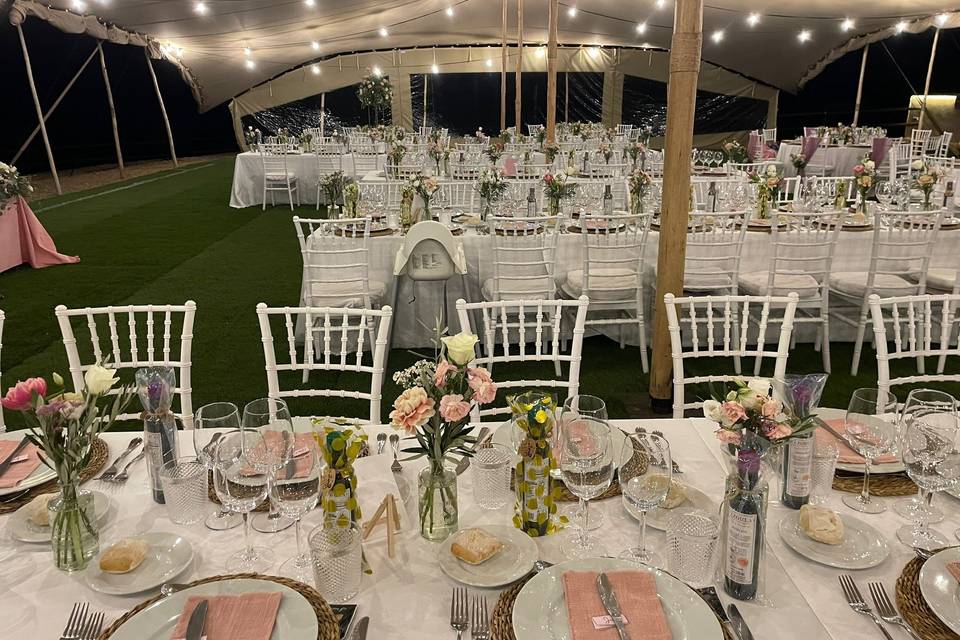 Bonsai Eventos
