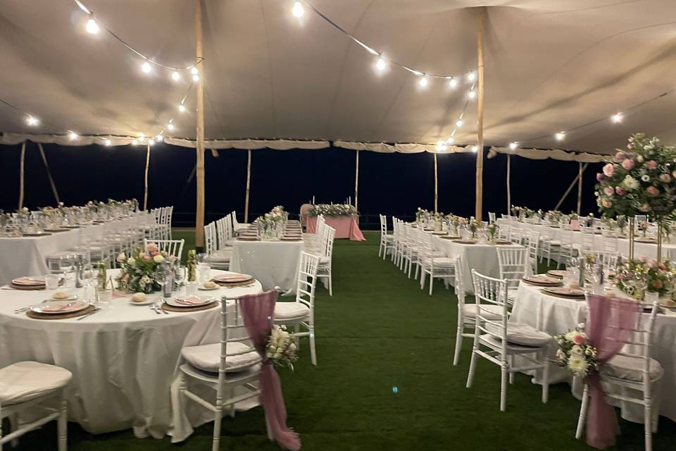 Bonsai Eventos
