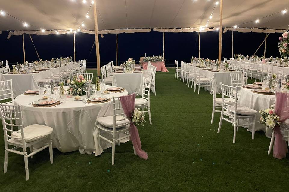 Bonsai Eventos