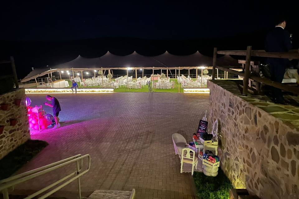 Bonsai Eventos