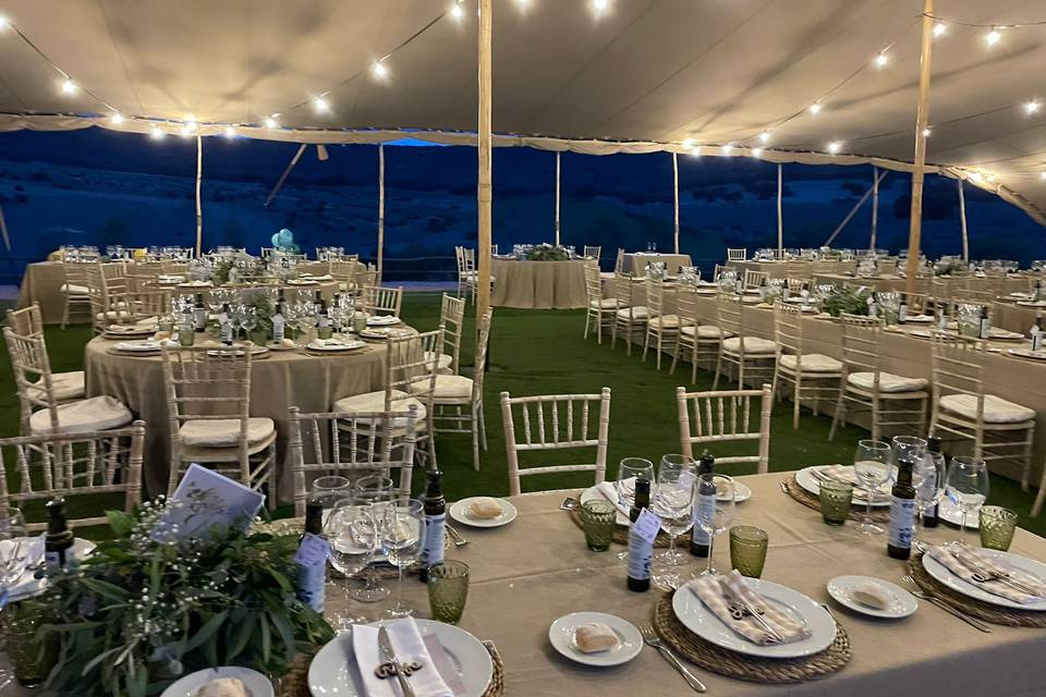 Bonsai Eventos