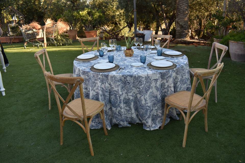 Bonsai Eventos