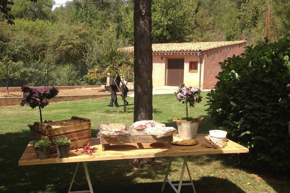 Preparativos