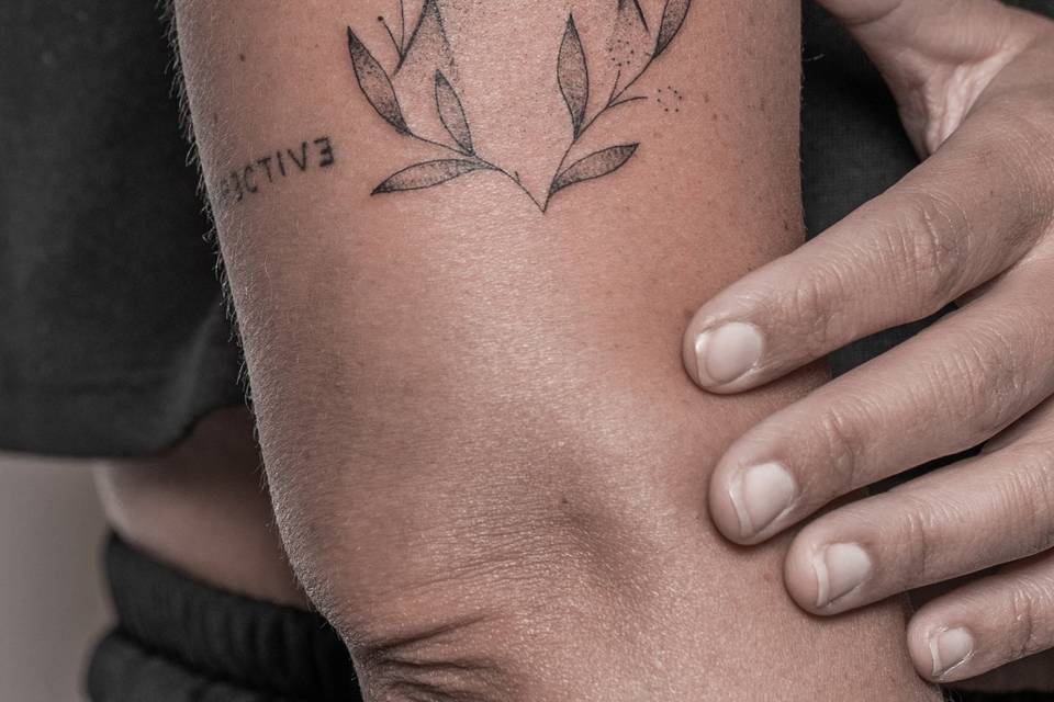 Desdentado