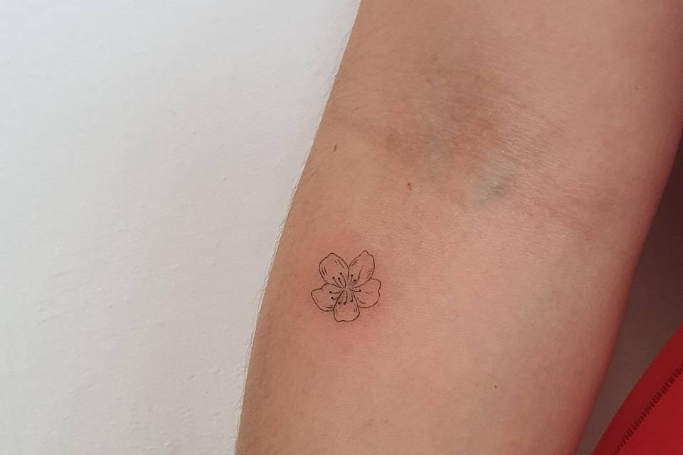 Flor de cerezo