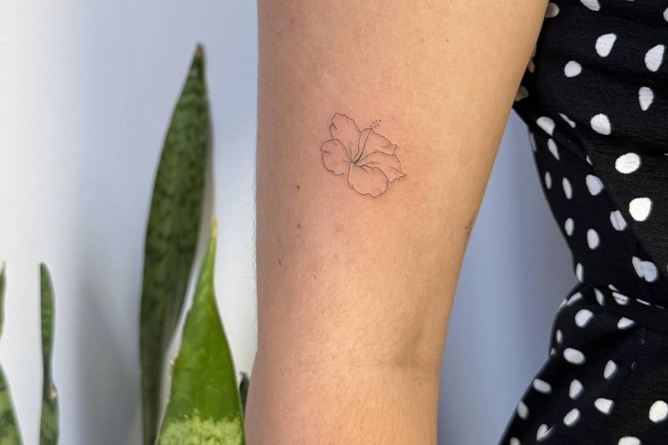 Flor de hibisco