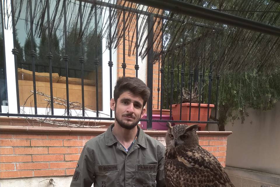 Cetrería Mulhacén - Anillos con rapaces