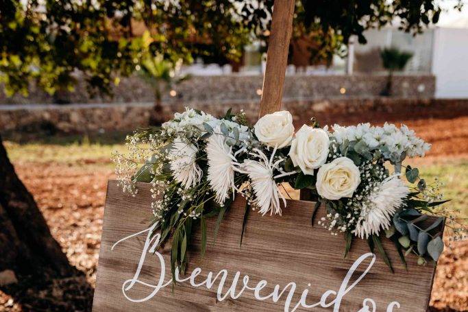 Tricia Wedding Planner & Events