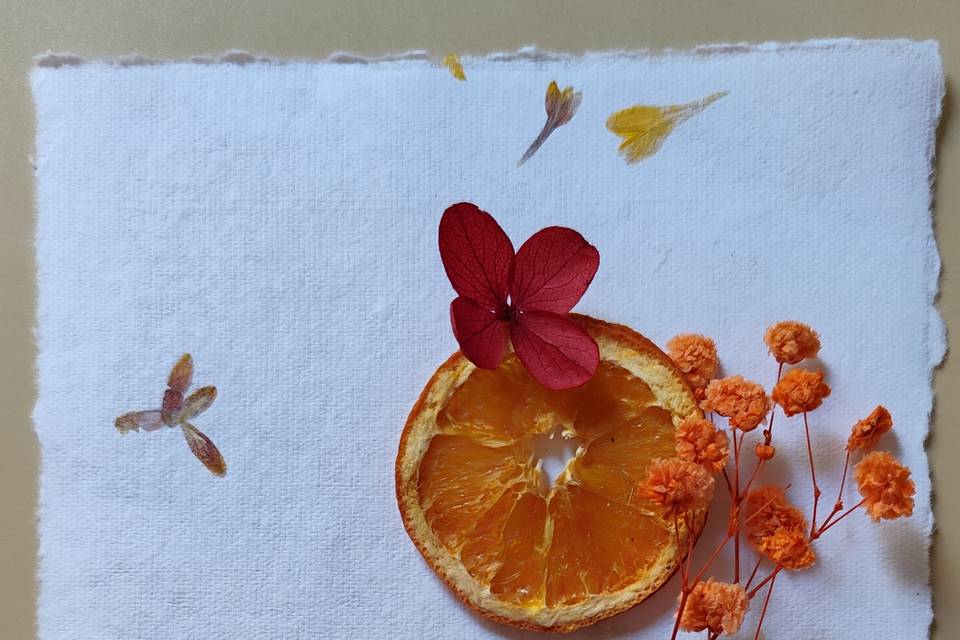 Papel de Pétalos de flores
