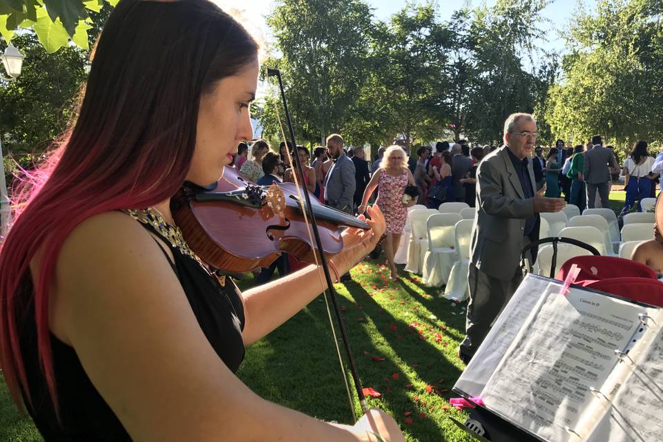 La Mujer Orquesta