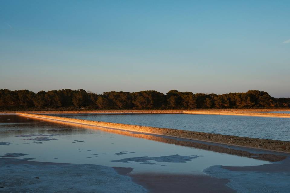 Rings - Salinas de Formentera