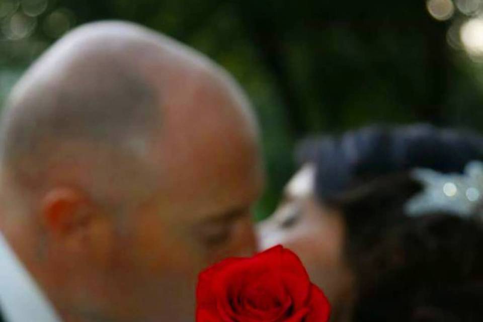 Mximagens