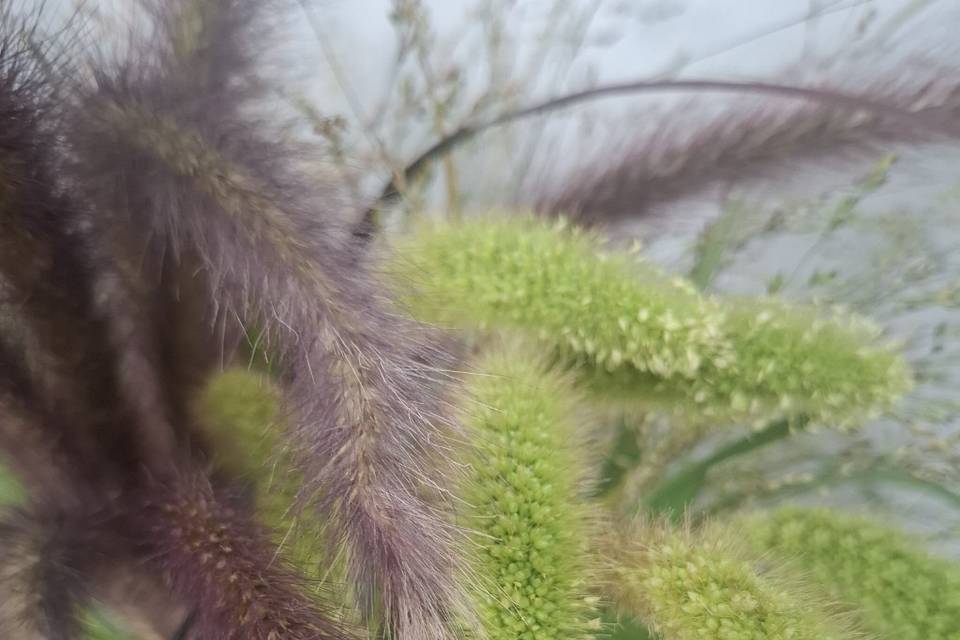 Verdes naturales y silvestres