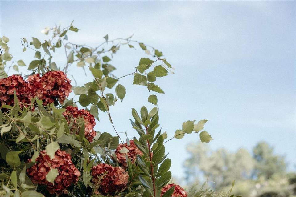 Arreglo floral