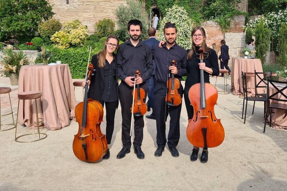 SolFaMiEvents