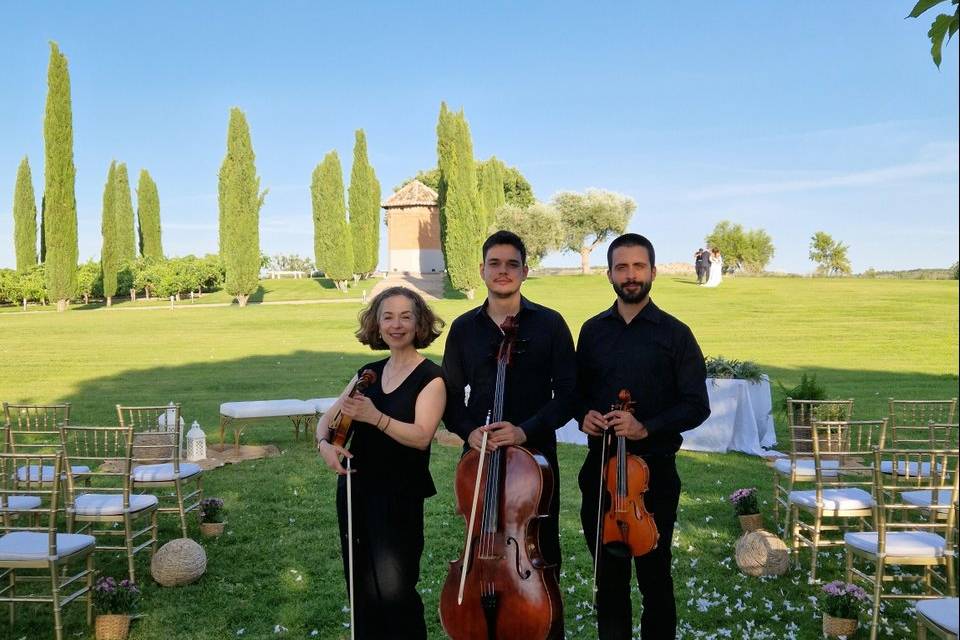 PremierMusicTrio