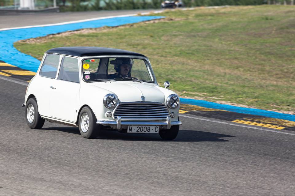 Mini 850