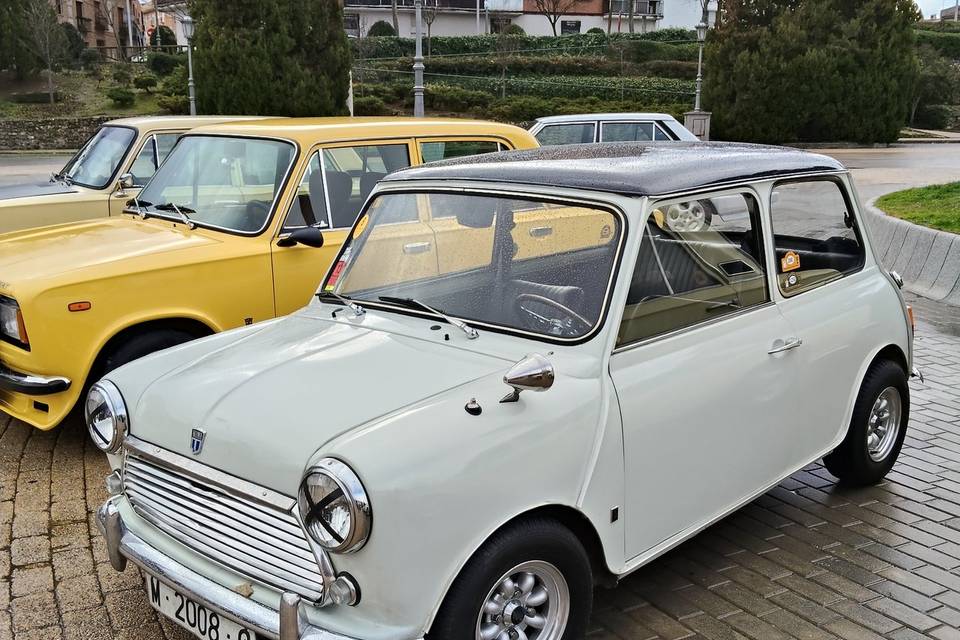 Mini Morris