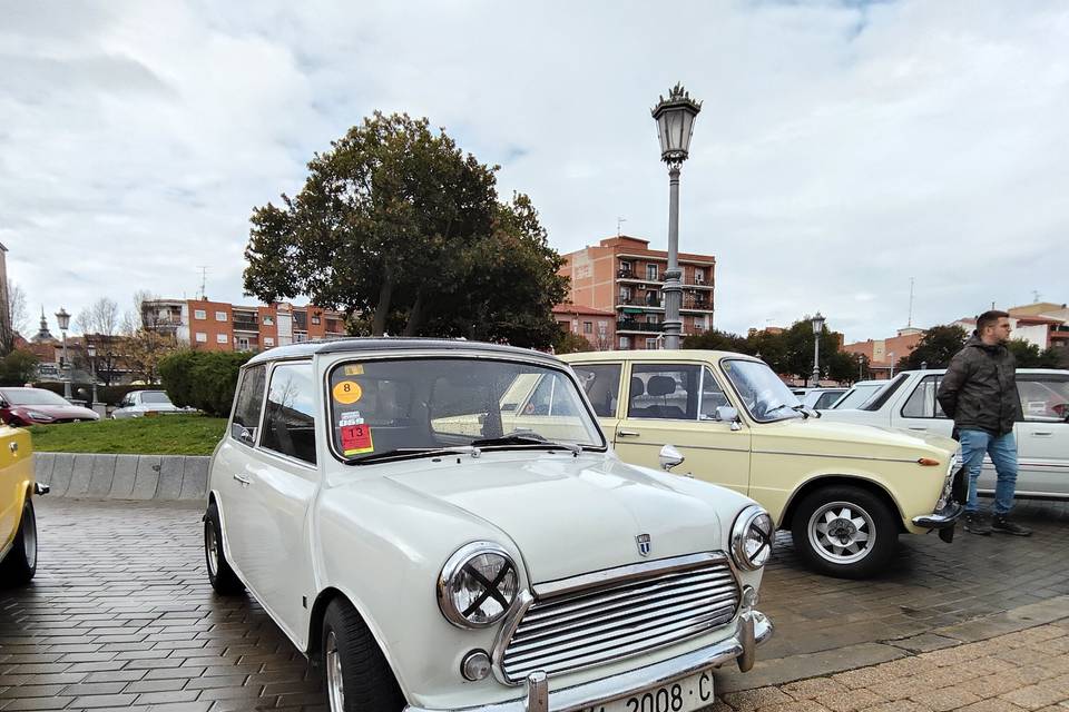 Mini Morris