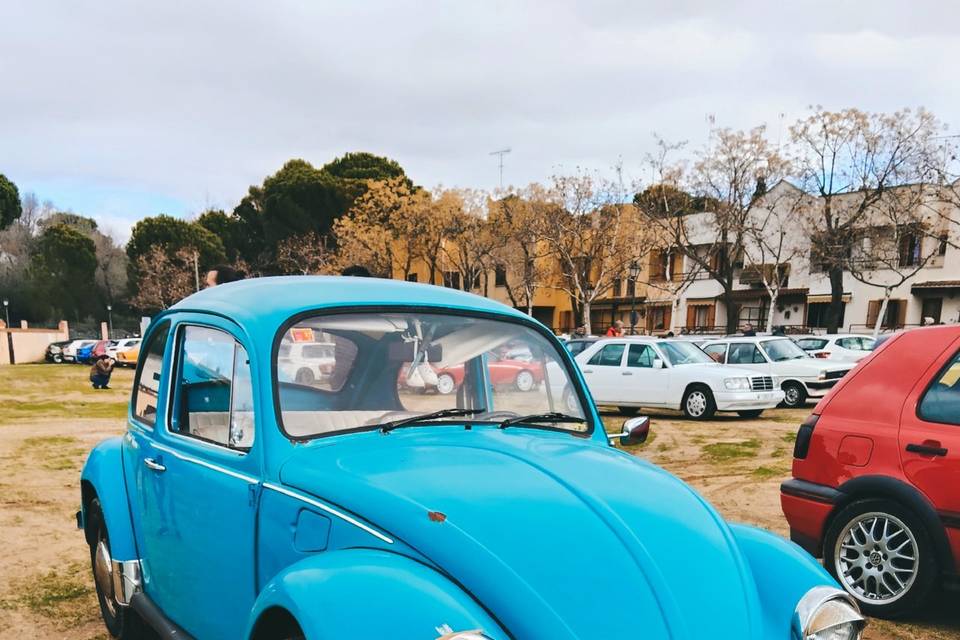 VW Betlle