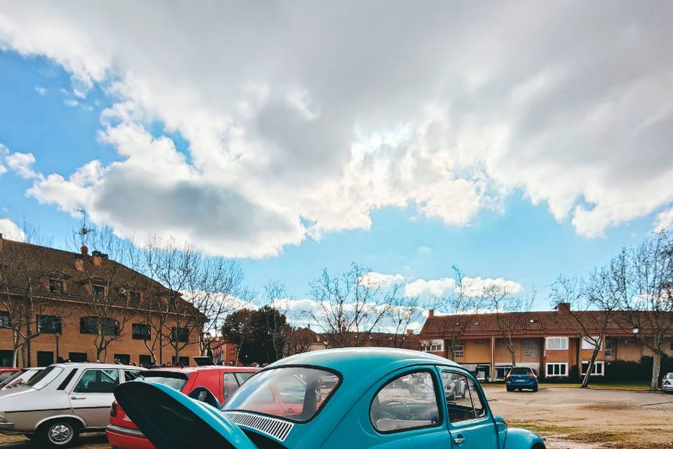 VW Bettle