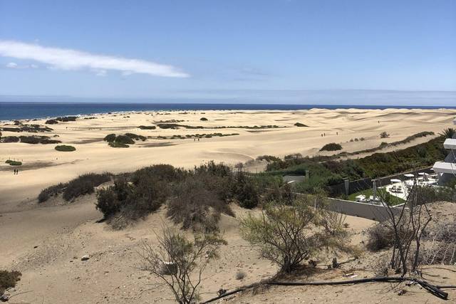 Dunas