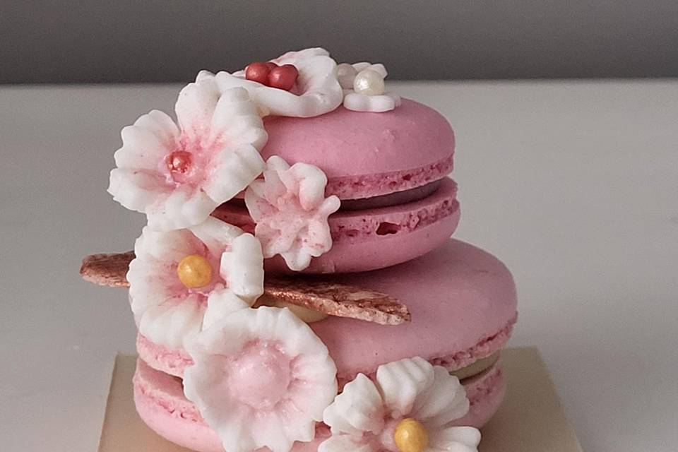 Cajita premium macarons