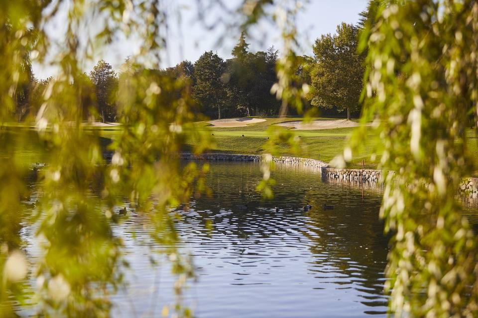 Campo golf