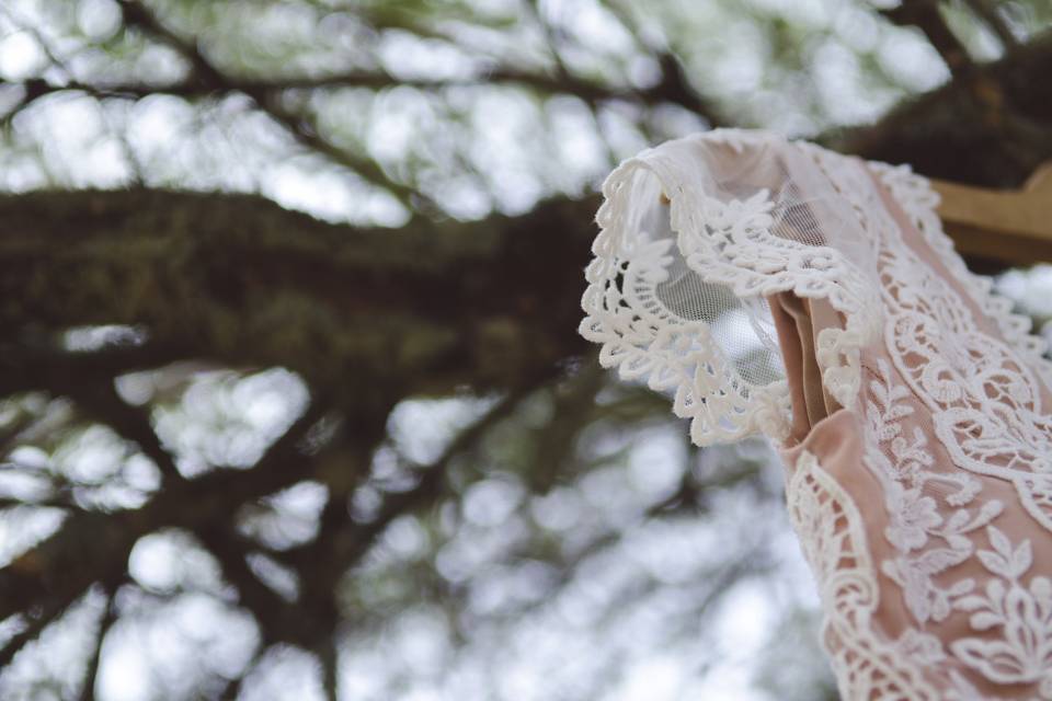 Vestido de la novia