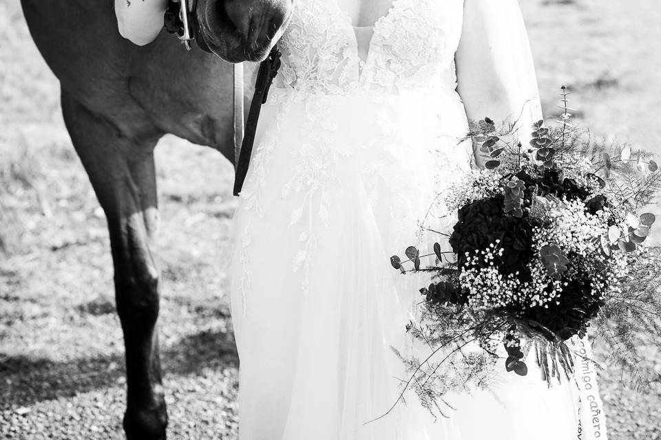 Bodas completas en la web