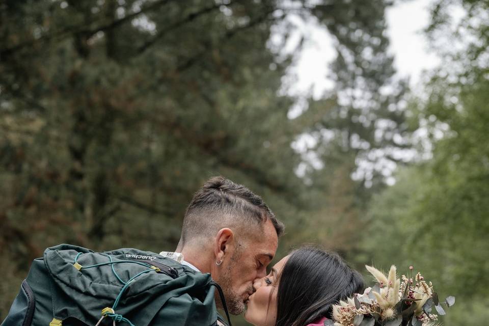 Bodas completas en la web