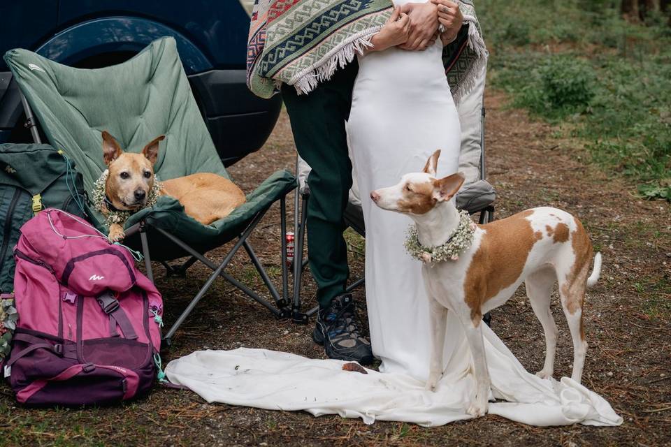 Bodas completas en la web