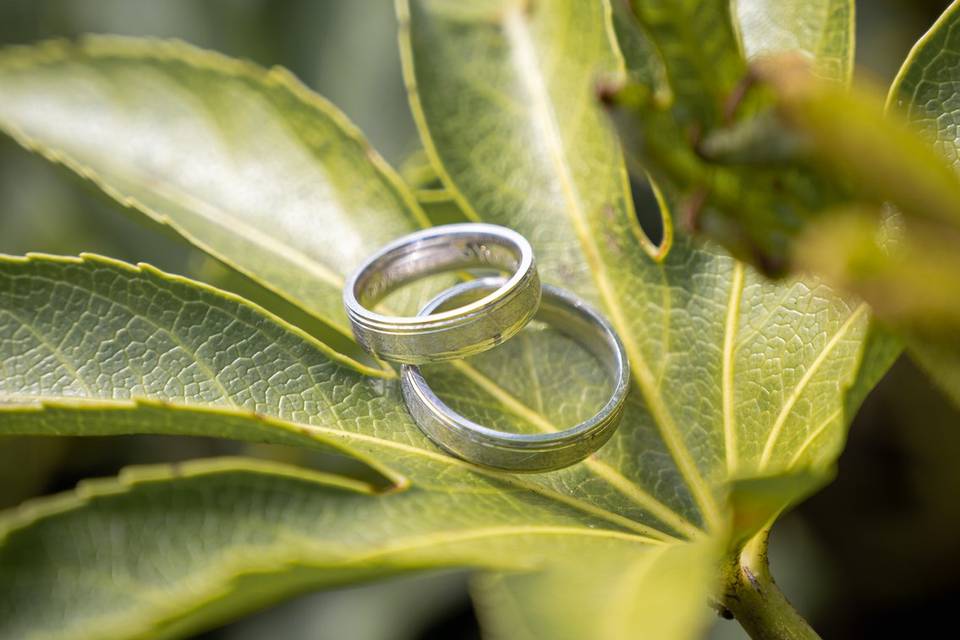 Melany M. Fotografía