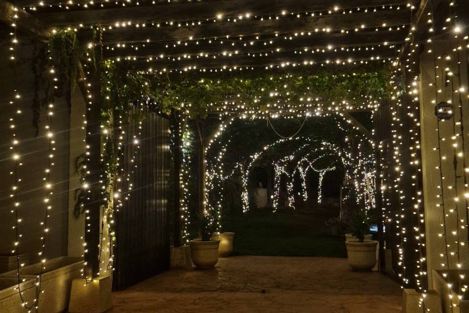 JARDIN ADELFAS