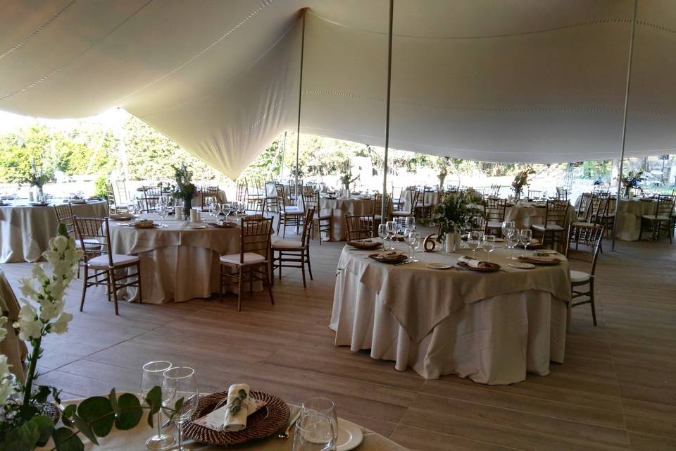 Galeventos